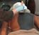 Dry Room Treatments: Body Wraps, Vol.  2