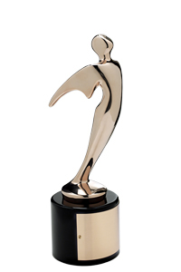 Bronze Telly award for educational video training_telly_bronze